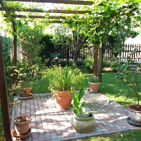 Taglio di Po Bed And Breakfast Di Manu المظهر الخارجي الصورة