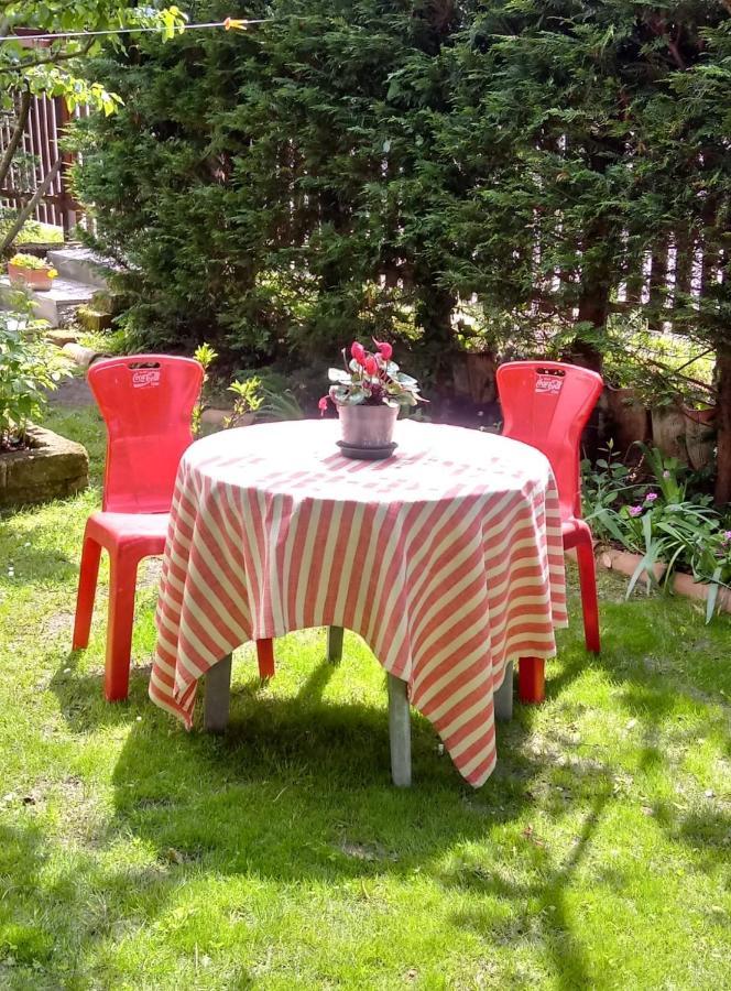 Taglio di Po Bed And Breakfast Di Manu المظهر الخارجي الصورة