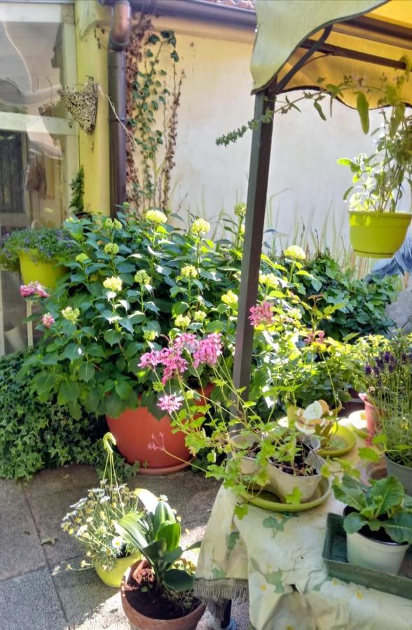 Taglio di Po Bed And Breakfast Di Manu المظهر الخارجي الصورة
