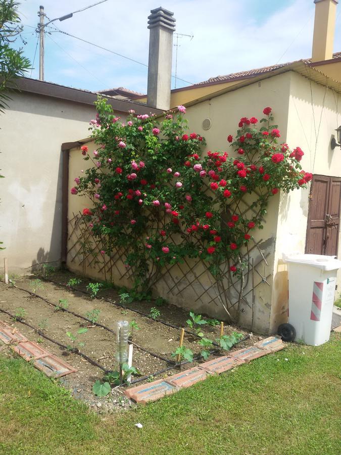 Taglio di Po Bed And Breakfast Di Manu المظهر الخارجي الصورة